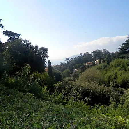 Le Camarat Cannes